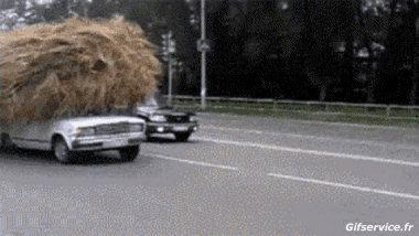 Fun Drole Voitures Transports Humour - Fun 