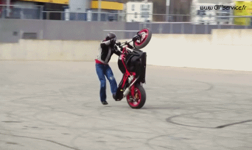 Freestyle Fun Win Motos Transports Humour - Fun 