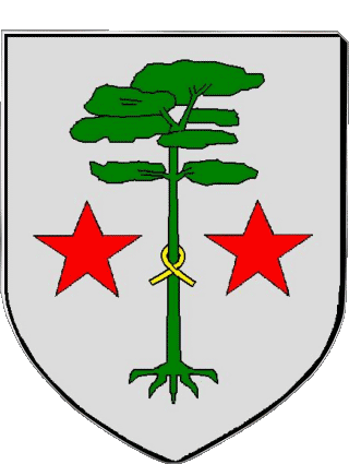 Blasón-Blasón BISCARROSSE 40 Departamentos - Ciudades Francia Banderas 