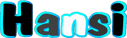 Hansi H MASCULINE - France First Names 