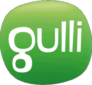 Logo Gulli Chaines -  TV France Multi Média 