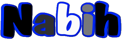 Nabih N MASCULINE - Maghreb Muslim First Names 