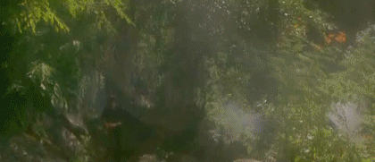 Video First blood PART 2 Rambo Películas Internacional Multimedia 