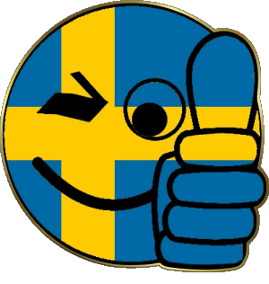 Smiley - OK Wildleder Europa Fahnen 