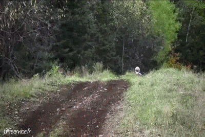 Fun - Win Quad Transports Humour - Fun 