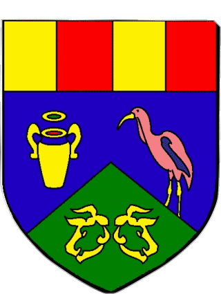 Wappen-Wappen IRACOUBO 973 Abteilungen - Städte Frankreich Fahnen 