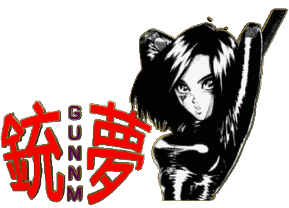 Gunnm Manga Multimedia 