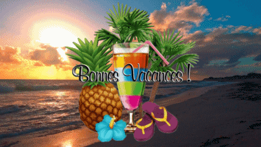 004 Animated Background Bonnes Vacances French Messages 