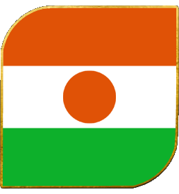 Carré Niger Afrique Drapeaux 