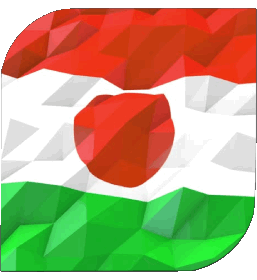 Platz Niger Afrika Fahnen 