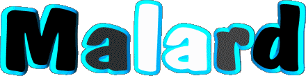 Malard M MASCULINO - Francia Nombre 