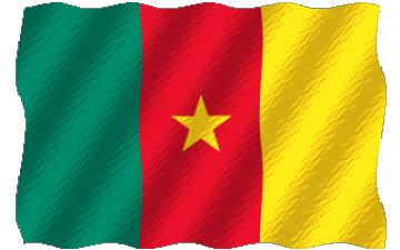 Welligkeit Kamerun Afrika Fahnen 