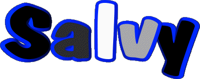 Salvy S MASCULINE - France First Names 