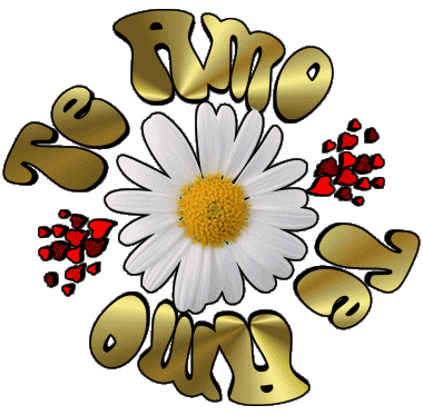 04 Te Amo Spanish Messages 