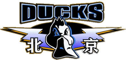 Beijing Ducks China Basketball Sport 