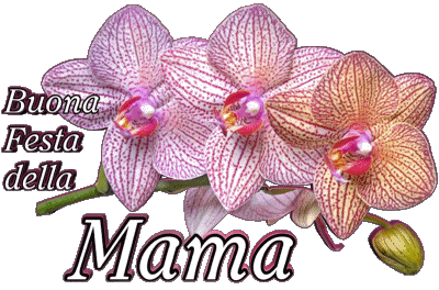 05 Buona Festa della Mamma Italiano Messagi 