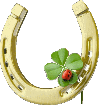 08 Fond Transparent Buena Suerte Espagnol Messages 