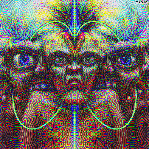 Bill Tavis GIF Artists Humor -  Fun 