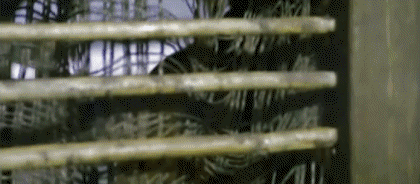 Video First blood PART 2 Rambo Cinéma International Multi Média 