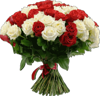 015 Feliz día de la madre Spagnolo Messagi 