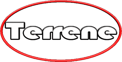 Terrene T MASCULINO - UK - USA - IRL - AUS - NZ Nombre 