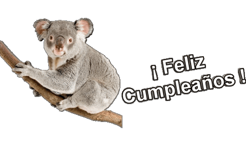 013 Animales Feliz Cumpleaños Espagnol Messages 