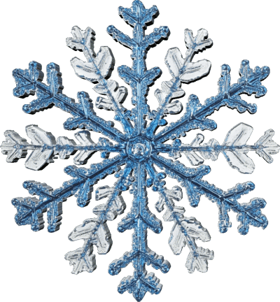 Serie 21 Joyeux Noël Français Messages 