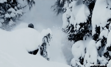 Free Ride Fun Win Ski Sports Humour - Fun 