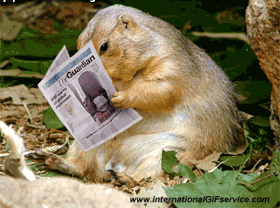 01 Marmotas Animales Humor - Fun 
