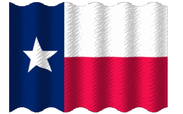 Waving Texas U.S.A - States America Flags 