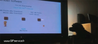 03 Hunde Tiere Humor -  Fun 