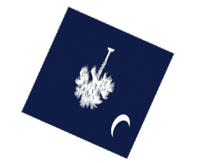 Sphere - Cube Caroline du Sud U.S.A - Etats Amériques Drapeaux 