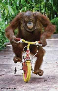 Boris Johnson-Boris Johnson Série 03 People - Vip Morphing - Ressemblance Humour - Fun 