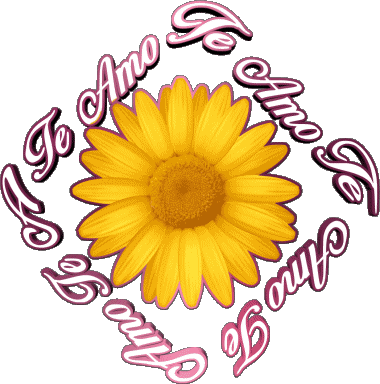 02 Te Amo Español Mensajes 