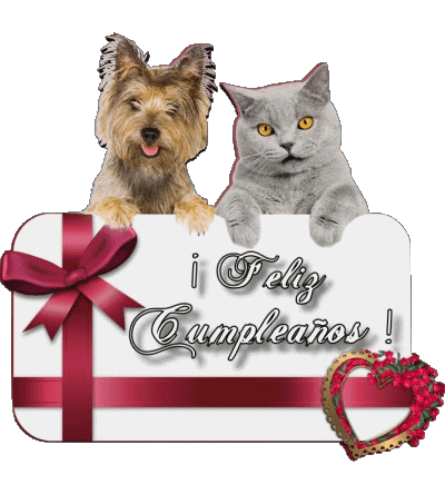 005 Animales Feliz Cumpleaños Español Mensajes 