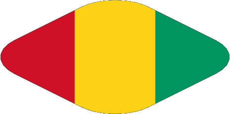 Ovale 02 Guinea Africa Bandiere 