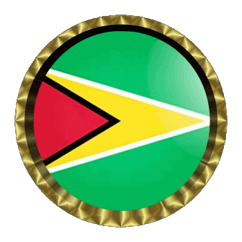 Round - Rings Guyana America Flags 