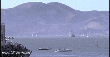 Military Airplanes Transport Humor -  Fun 