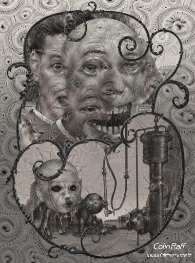 Colin Raff GIF Artists Humor -  Fun 