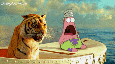 01 Tigers Animals Humor -  Fun 