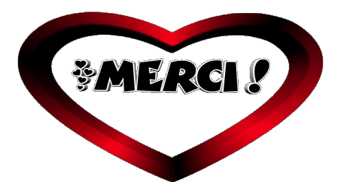 03 Merci French Messages 