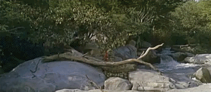 Video First blood PART 2 Rambo Movies International Multi Media 