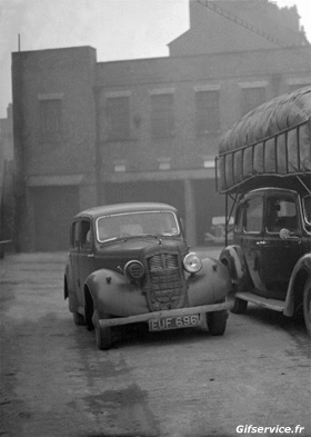 Lustige Autos Transport Humor -  Fun 