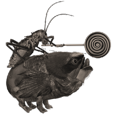 Colin Raff GIF Artistes Humour - Fun 