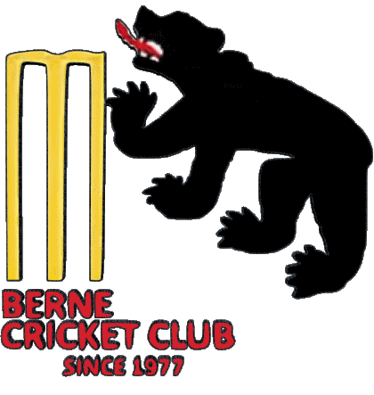 Berne CC Suiza Cricket Deportes 