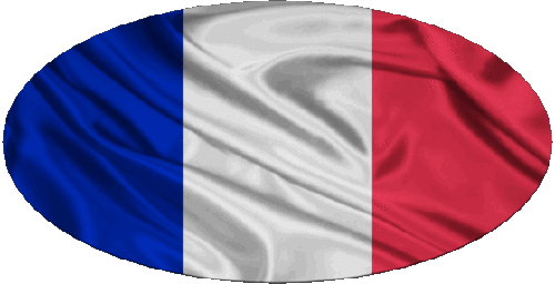 Ovale Nazionale Francia Bandiere 