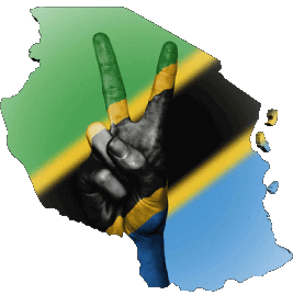 Map Tanzania Africa Flags 