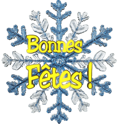 Serie 18 Bonnes Fêtes (Noël) Francés Mensajes 