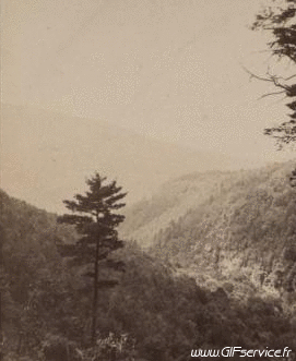 Stéreoscopique Wiggle 3d Effekte Humor -  Fun 