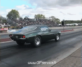 Wheeling Car Macchine Trasporti Umorismo -  Fun 